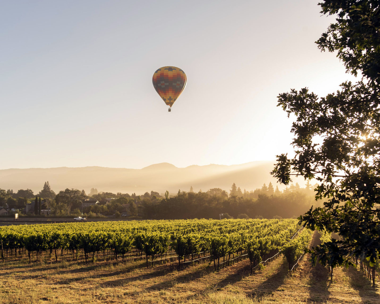 How a world-class chef blossomed in Napa Valley: The French Laundry turns 25